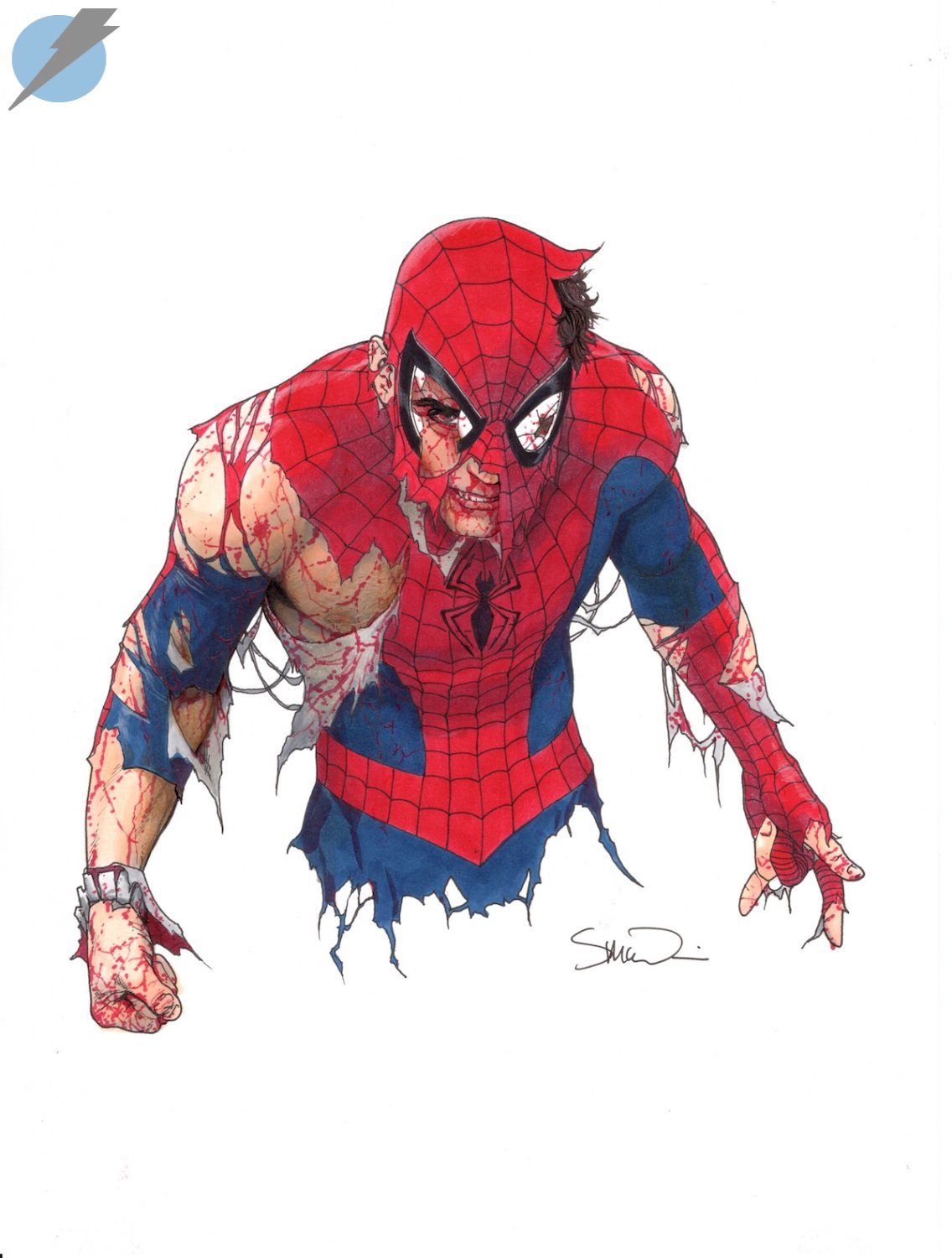 Spider-Man sketch by Steve Irvine on Dribbble
